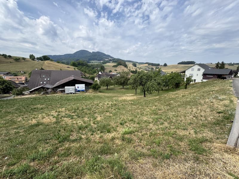 D'EFH + freistehendes EFH an idyllischer und ruhiger Lage (4)