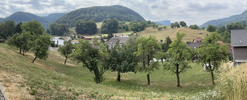 D'EFH + freistehendes EFH an idyllischer und ruhiger Lage (2)