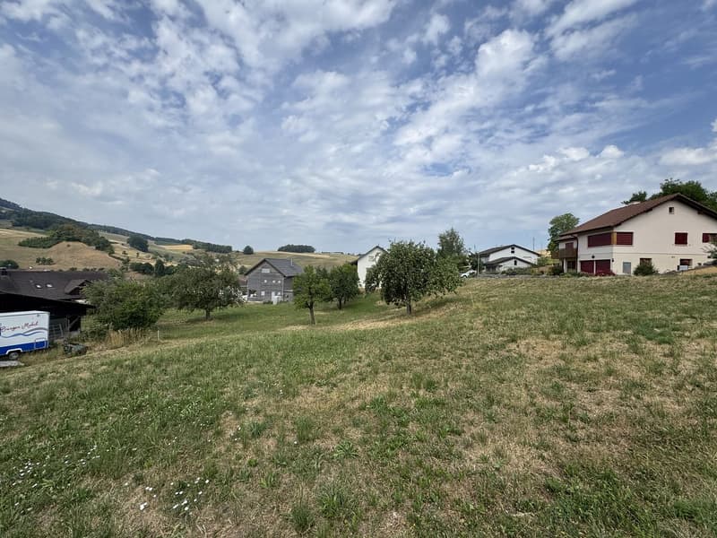 D'EFH + freistehendes EFH an idyllischer und ruhiger Lage (5)