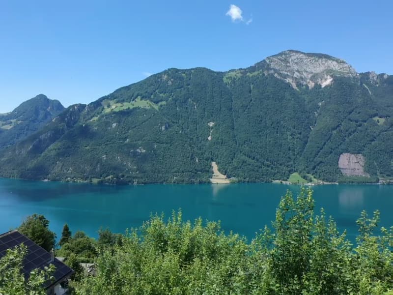 Charmantes 5.5-Zimmer-Einfamilienhaus in idyllischer Lage in Seelisberg (6)