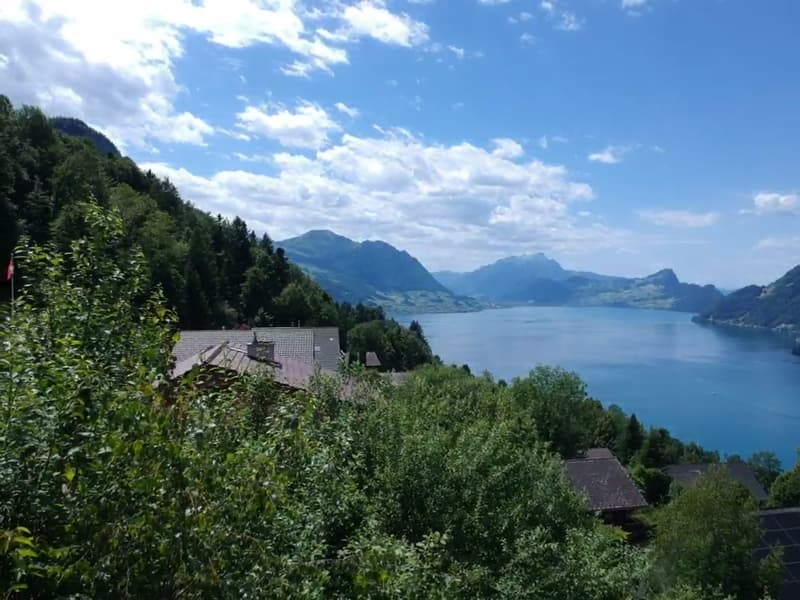 Charmantes 5.5-Zimmer-Einfamilienhaus in idyllischer Lage in Seelisberg (2)