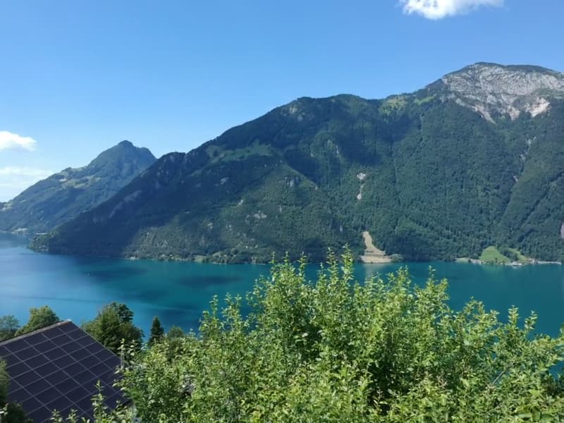 Charmantes 5.5-Zimmer-Einfamilienhaus in idyllischer Lage in Seelisberg (4)