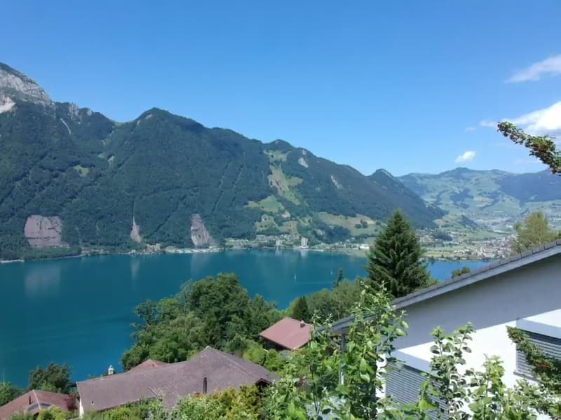 Charmantes 5.5-Zimmer-Einfamilienhaus in idyllischer Lage in Seelisberg (3)