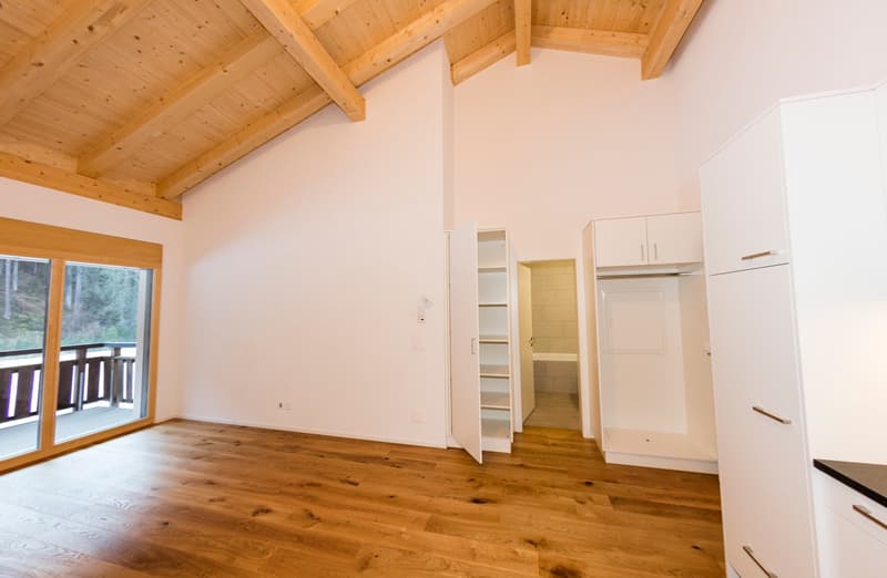 Wohnung am Fluss und Waldrand inklusive Aussenparkplatz (3)