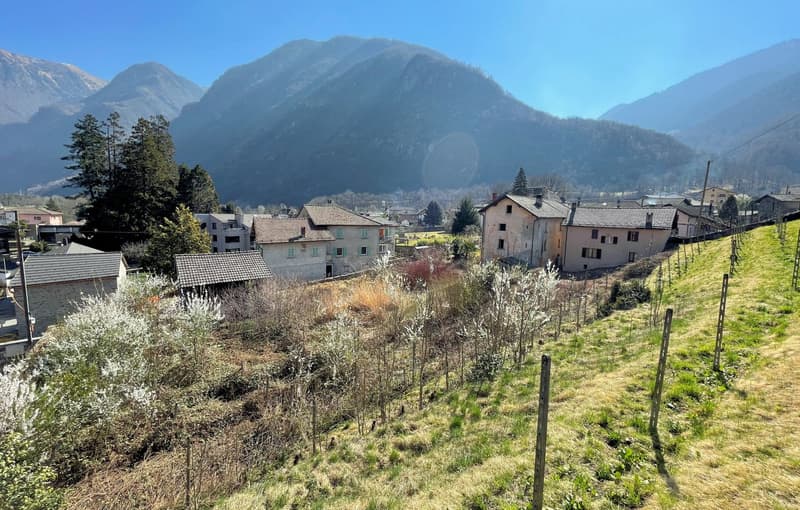The image shows a picturesque mountain village nestled in a valley, with snow-capped peaks in the background. The village is composed of traditional houses with tiled roofs, surrounded by lush greenery and vineyards. The scene has a serene and tranquil at