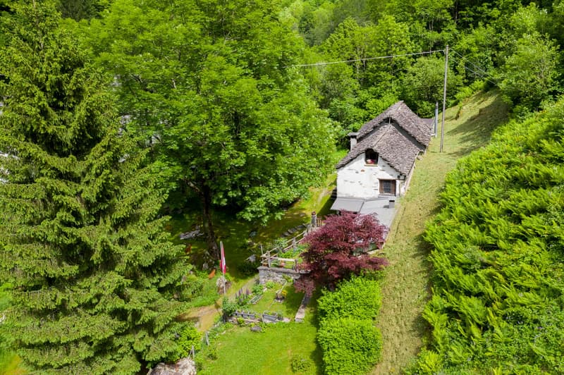 Stone house, rustic design, gable roof, surrounded by lush greenery, flag, pathway