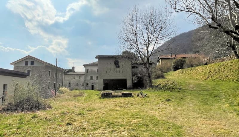Terreno edificabile di 1300 mq immerso nella natura (5)