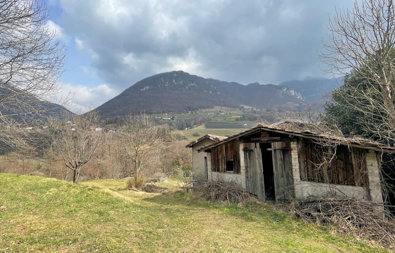 Terreno edificabile di 1300 mq immerso nella natura (6)