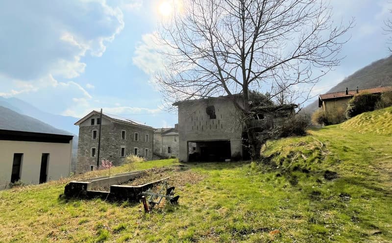 Terreno edificabile di 1300 mq immerso nella natura (2)