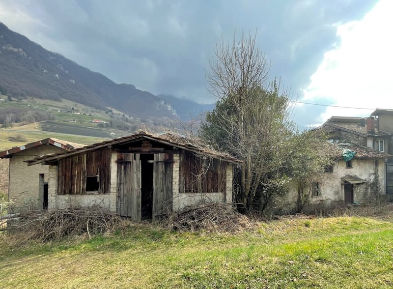 Terreno edificabile di 1300 mq immerso nella natura (7)