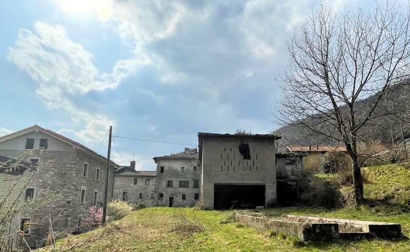 Terreno edificabile di 1300 mq immerso nella natura (3)