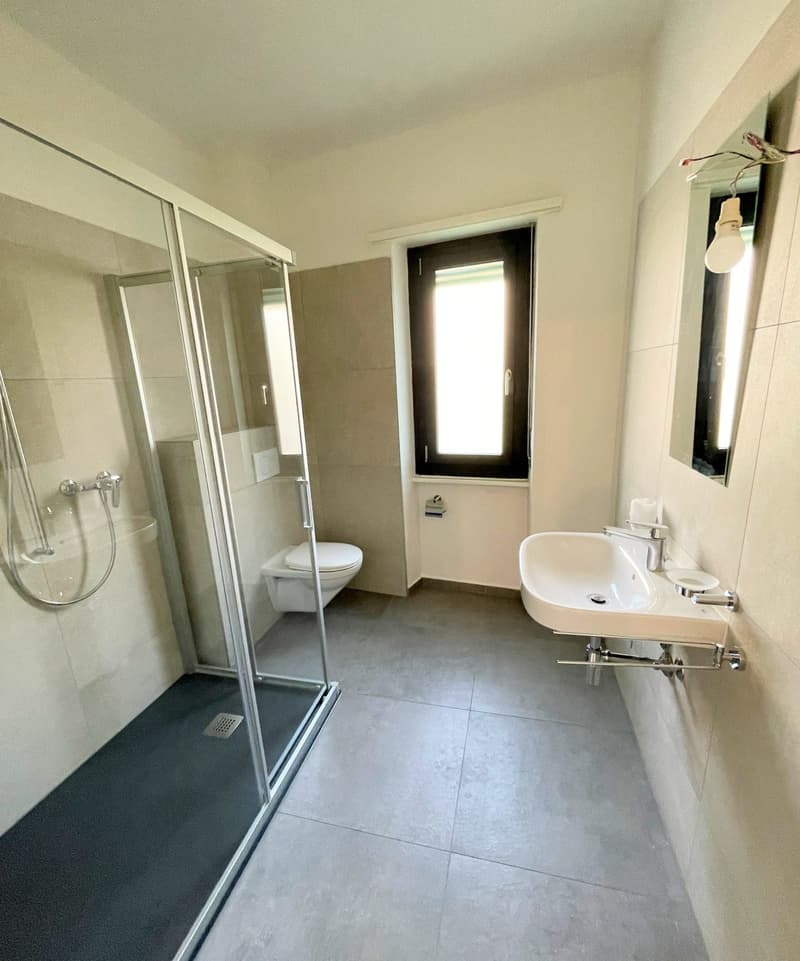 tiled floor, shower cubicle, toilet, sink, mirror, light fixture