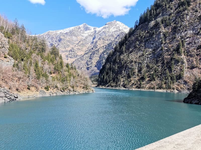 mountains, trees, large lake, snow-capped peak, clear blue water