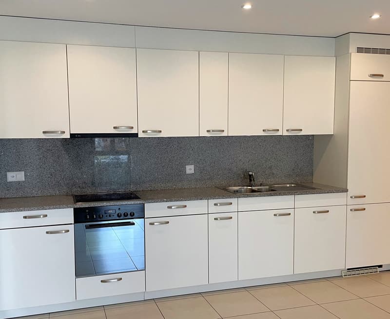 modern white kitchen with granite countertop, stainless steel appliances, built-in dishwasher and washing machine