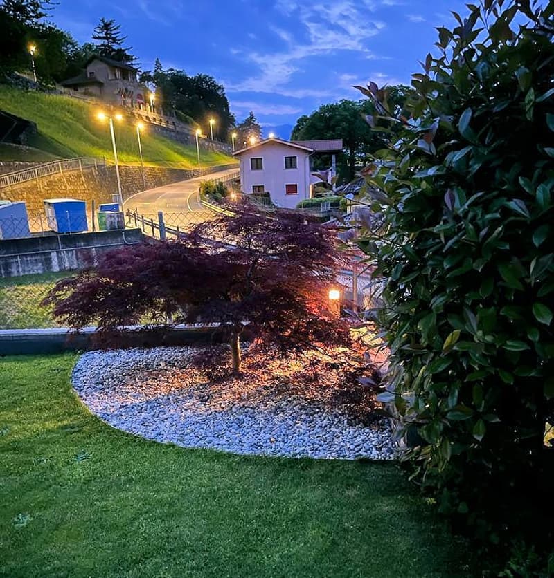 Tree in the middle, gravels around, green grass, street lamps, a white house on the top of hill