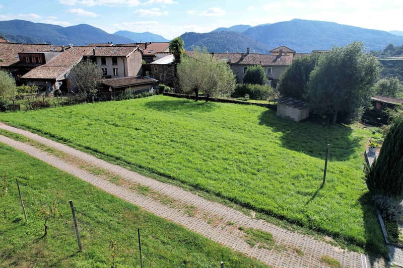 Large open green grass field with a paved path