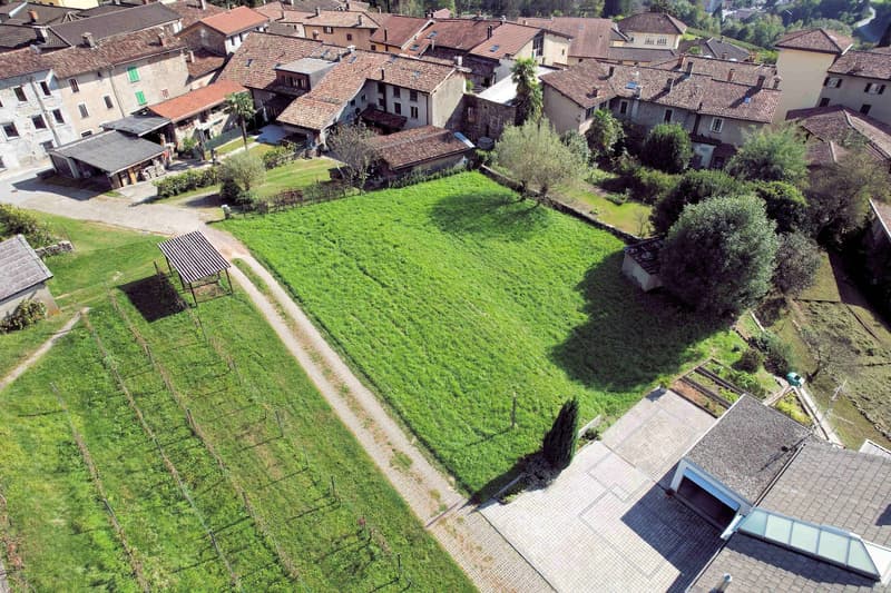 Open green space, driveway, surrounding buildings, trees, walkway