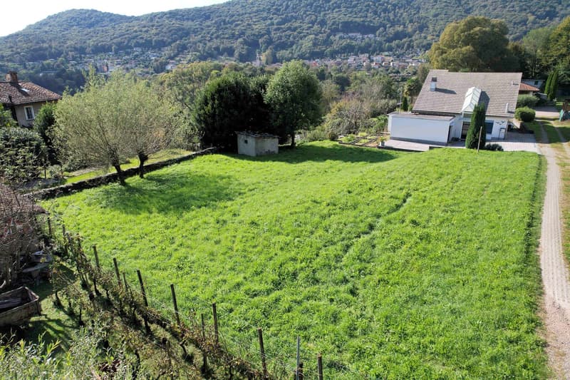 An empty plot of land with green grass, small trees, and plants. There is a white building and a small building on the side. In the distance, there is a town with many buildings. The land has a fence and a small driveway leading to the building.