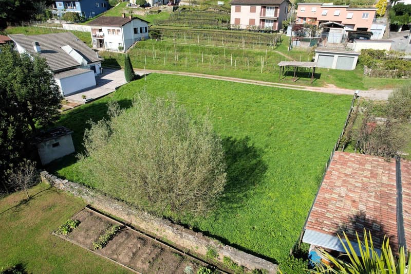 A large grassy lawn in a rural setting, surrounded by houses and a vineyard, with a small vegetable garden in the corner and a tree in the center.