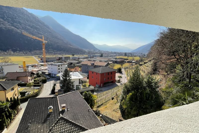 Aerial view of town with many buildings, red house, crane, mountains, trees, sky
