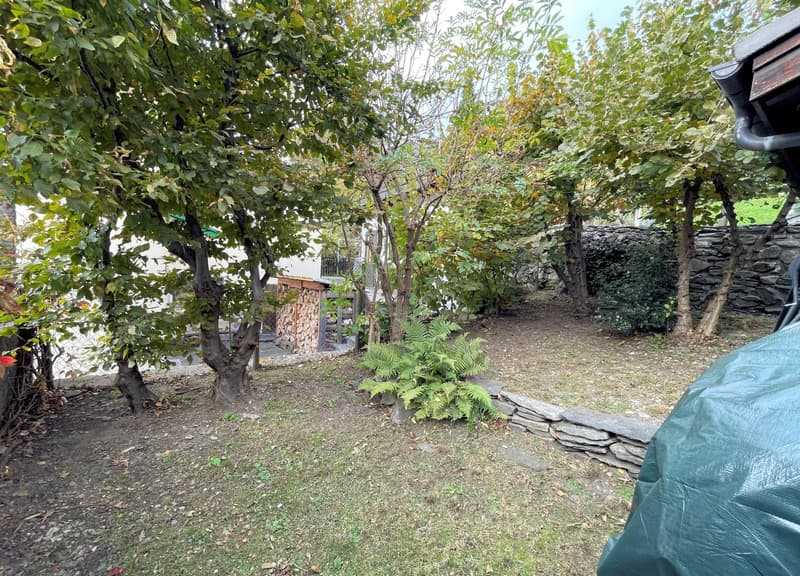 well maintained garden with green trees, stone wall, grass, pile of firewood in corner