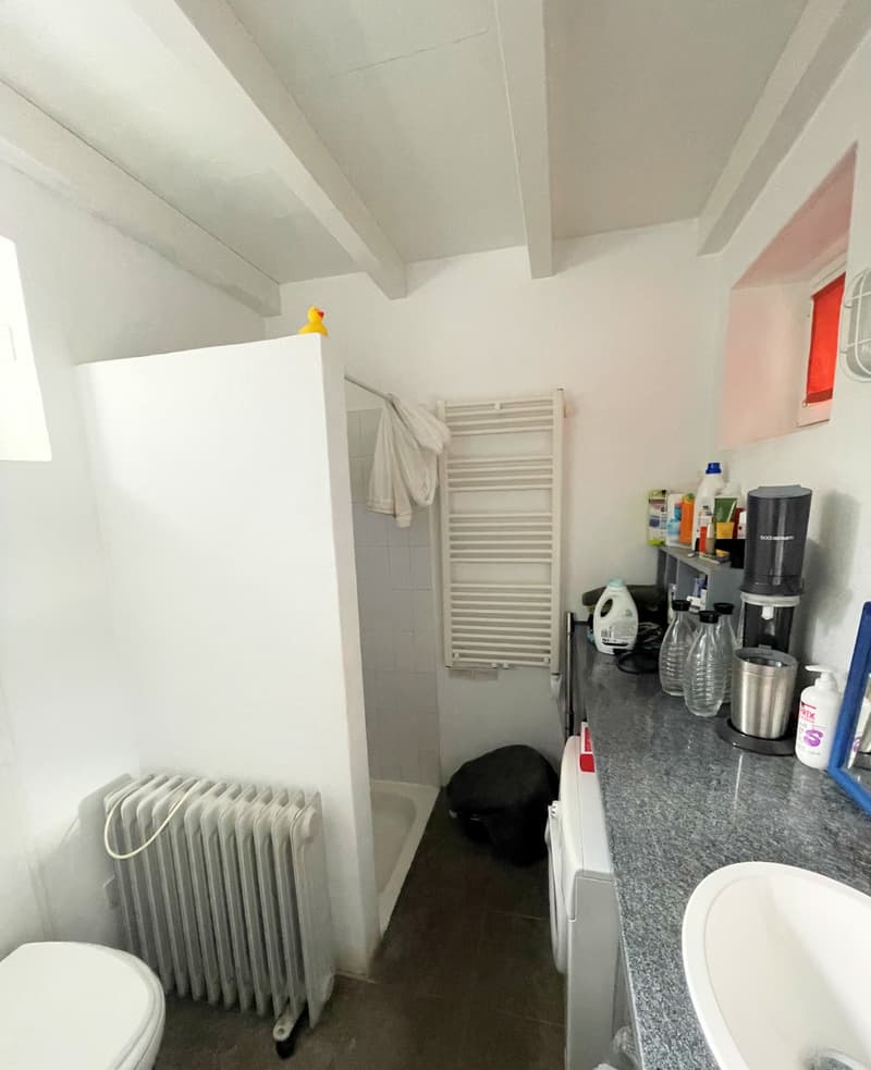 bathroom with white shower, toilet, sink, radiator