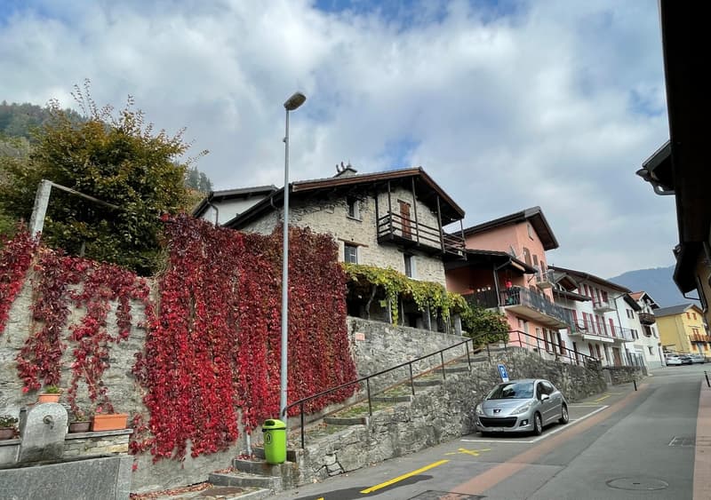 House with red leaves, stone wall, stairs leading to entrance, balcony, car parked on street