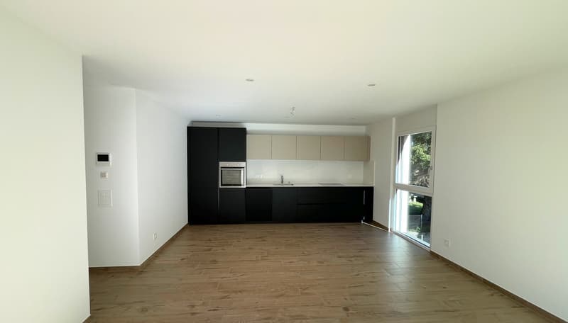 empty kitchen with wooden floor, modern cabinets, large window, built-in oven and sink