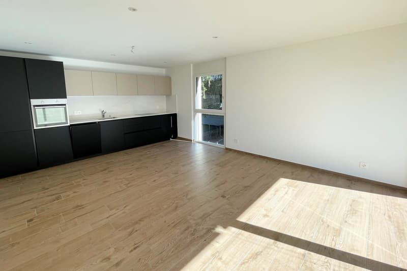 Empty kitchen with wood floor, white walls, built-in oven, sink, cabinets.