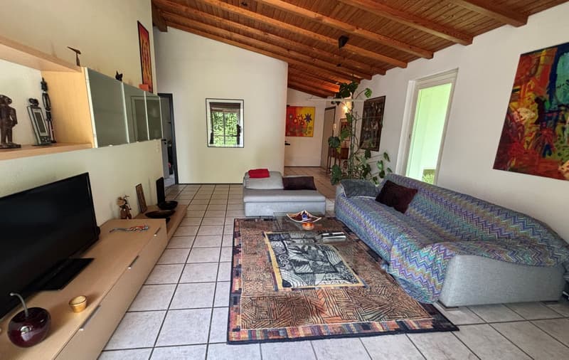 large couch, glass coffee table, rug, flat screen TV, shelves, white tile floor
