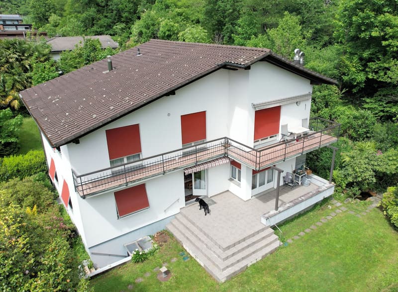 2 story house, white paint, brown roof, balconies, red shutters, dog in the foreground