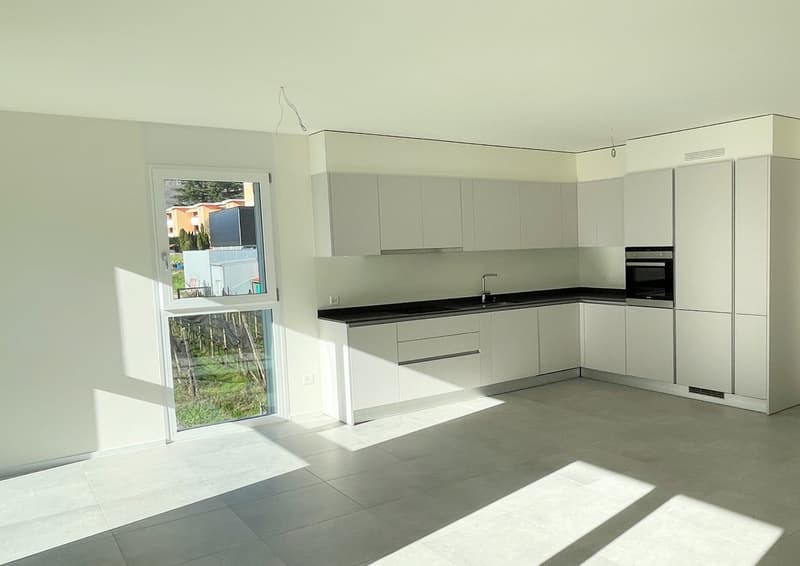 modern kitchen, white cabinets, black countertops, stainless steel sink, oven, dishwasher, sliding glass door, tiled floor