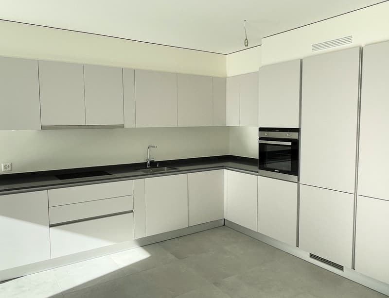 modern kitchen with white cabinets, black countertops, stainless steel sink, oven, dishwasher
