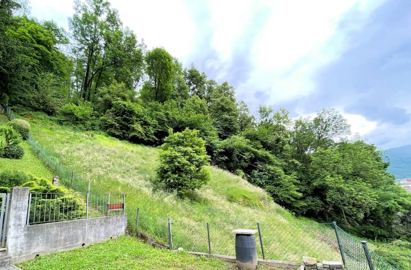 hillside garden with grass, trees, bushes, fences, and a barrel