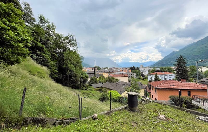 hillside garden with grass, trees, and a fence, overlooking a town with buildings and mountains
