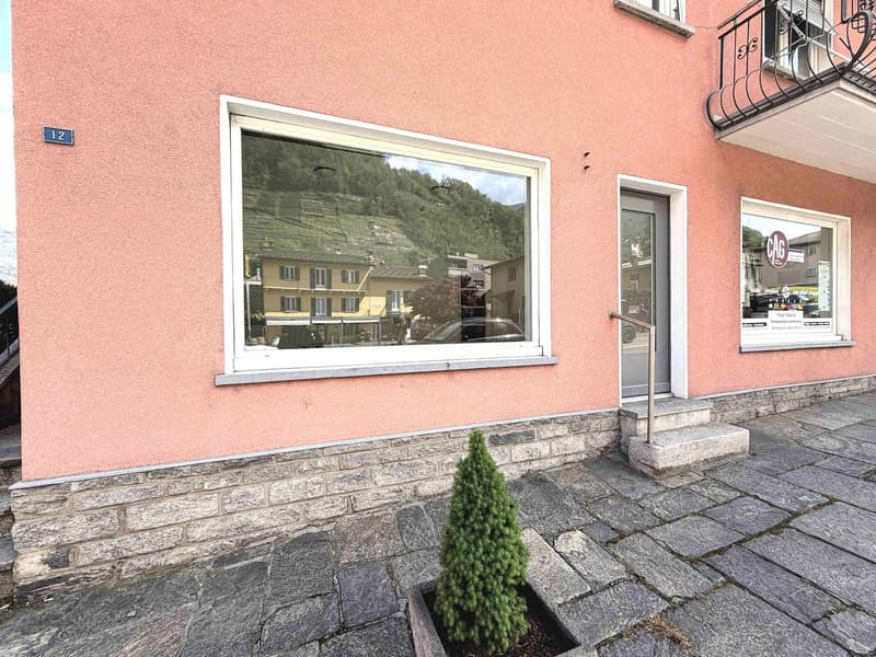 Pink building with a balcony, large window, and a small plant in front