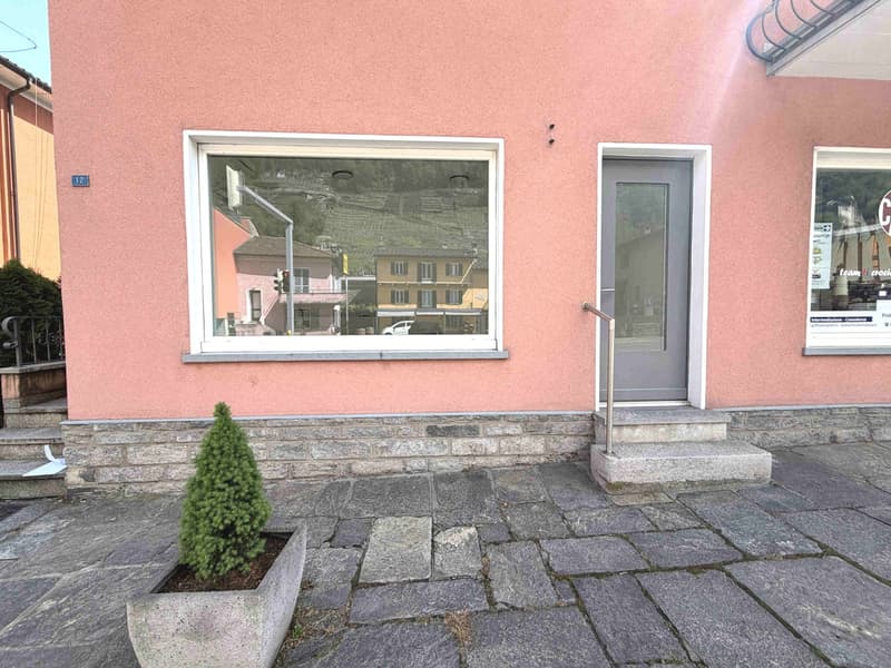 Pink building with a window and a door, a small plant in a pot, a paved entrance, a small balcony above the door, a small staircase leading to the entrance.