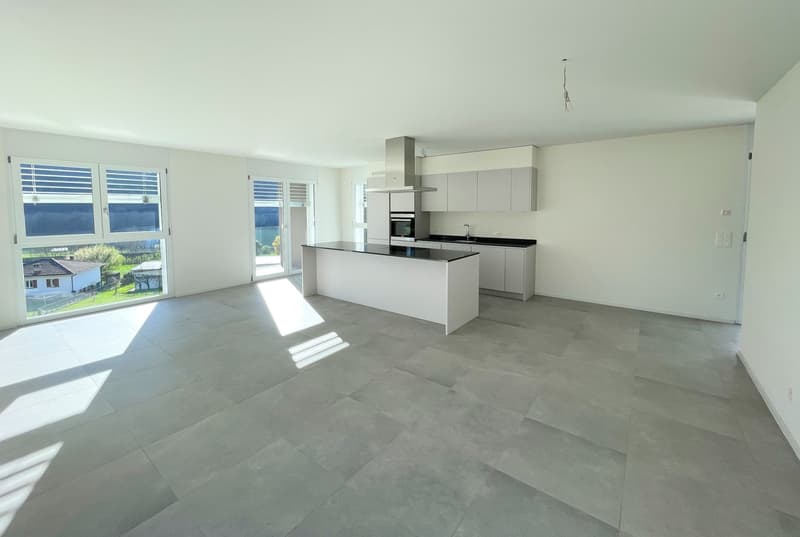Nuovo appartamento all'ultimo piano in elegante residenza (5)