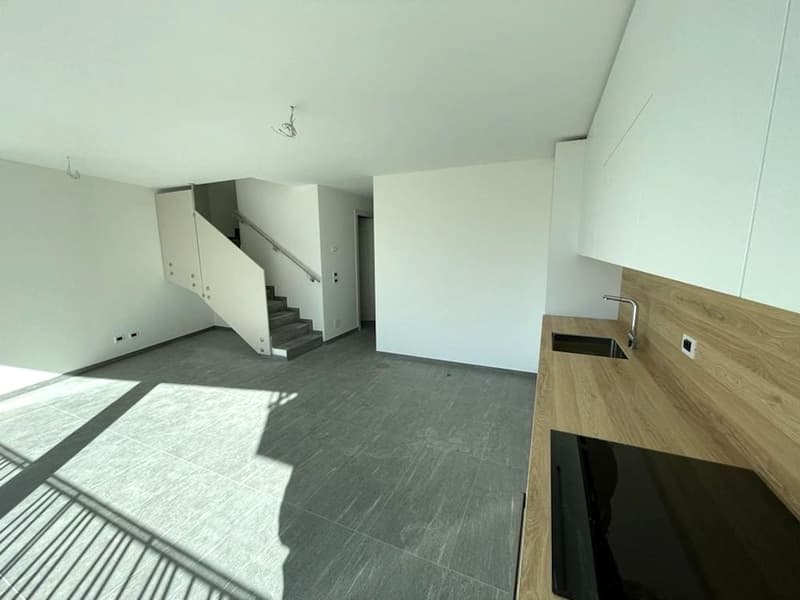 Elegante duplex in zona comoda e tranquilla (5)