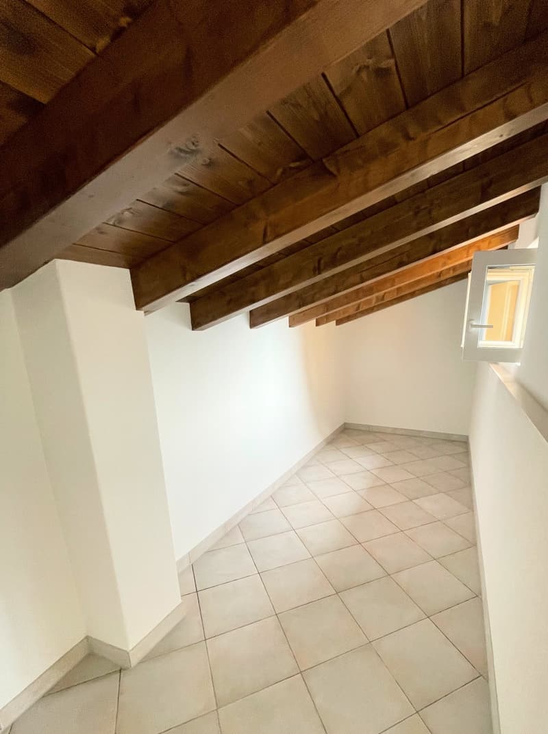 Spaziosa villetta completamente rinnovata a soli 15 minuti da Bellinzona (12)