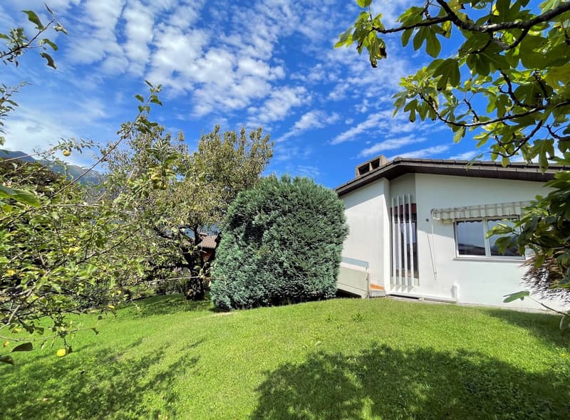 Spaziosa abitazione con grande terreno in zona residenziale (5)