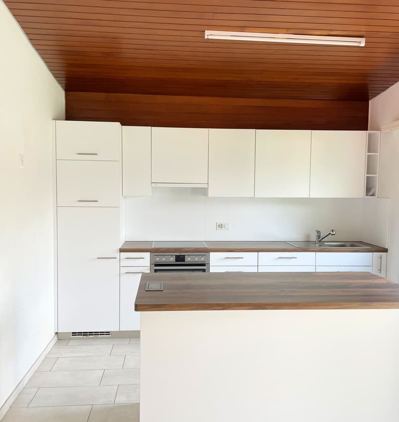 Spaziosa abitazione con grande terreno in zona residenziale (13)