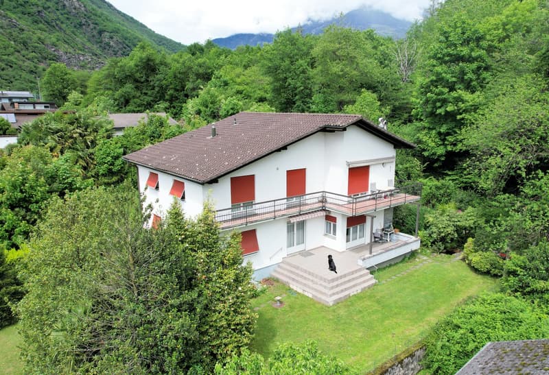 Appartamento rinnovato immerso nel verde e nella natura (1)