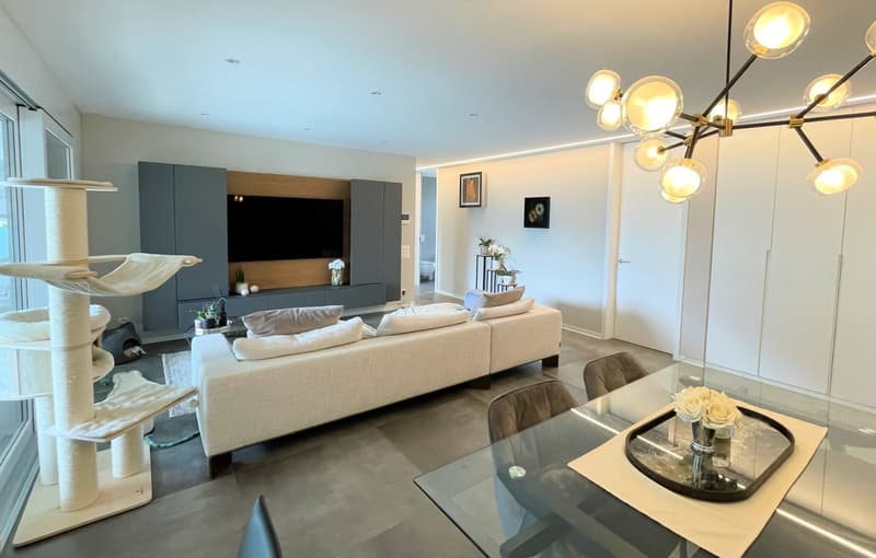 Appartamento con grande terrazza coperta in zona comoda e tranquilla (10)
