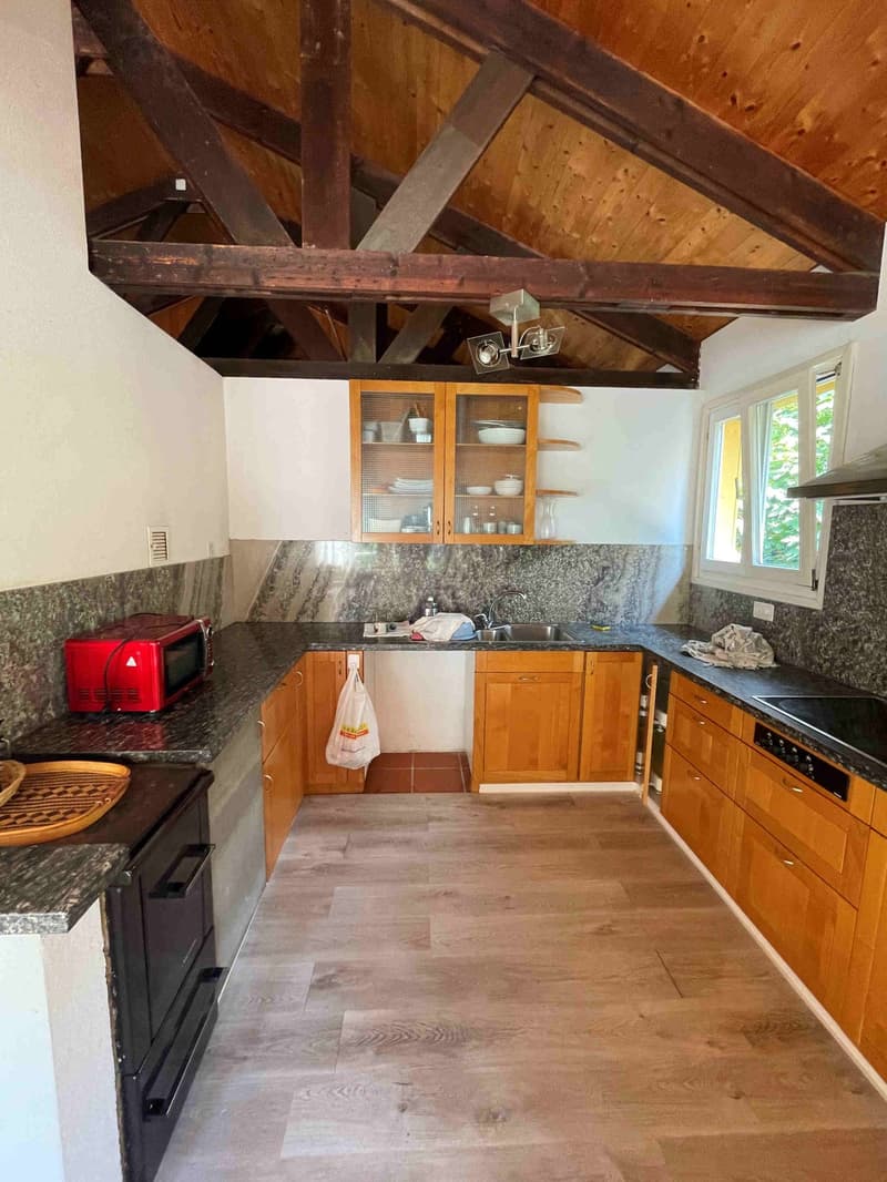 Casa nel verde per amanti della natura (16)