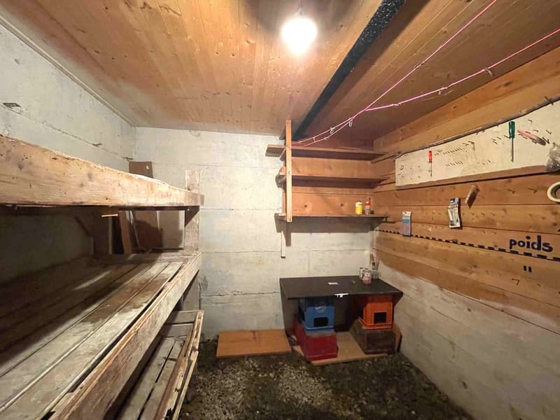 Casa nel verde per amanti della natura (8)