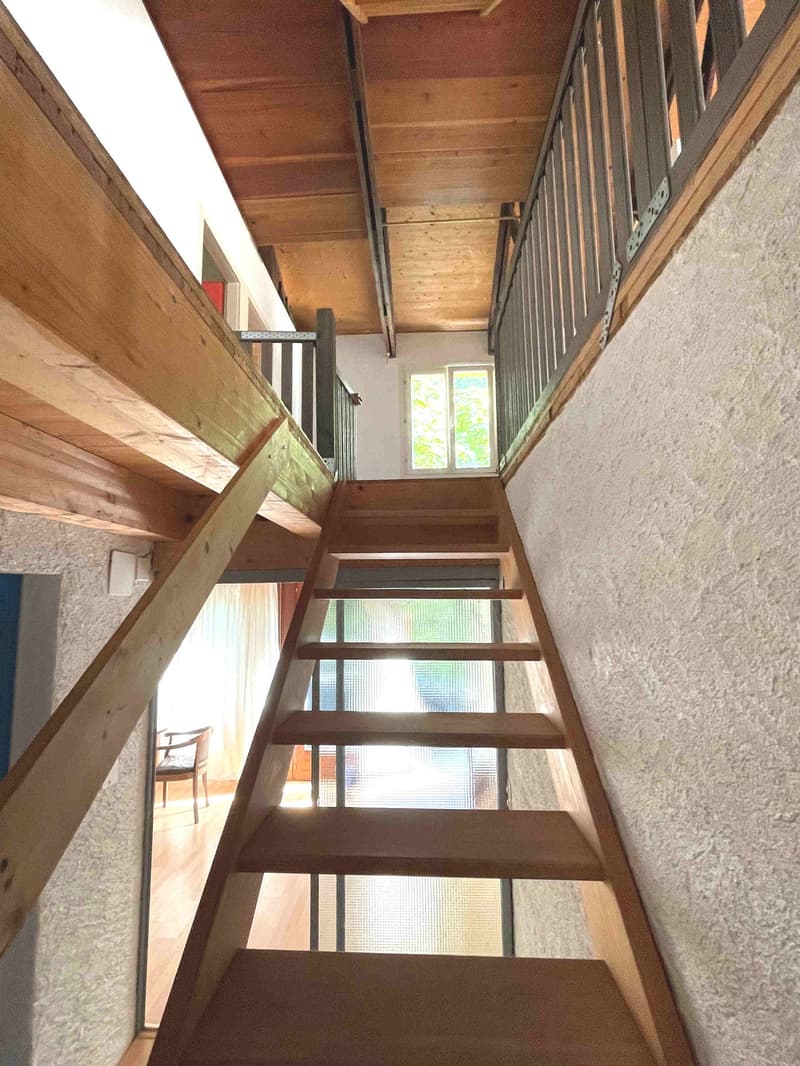 Casa nel verde per amanti della natura (9)