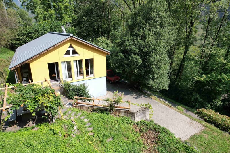 Casa nel verde per amanti della natura (3)