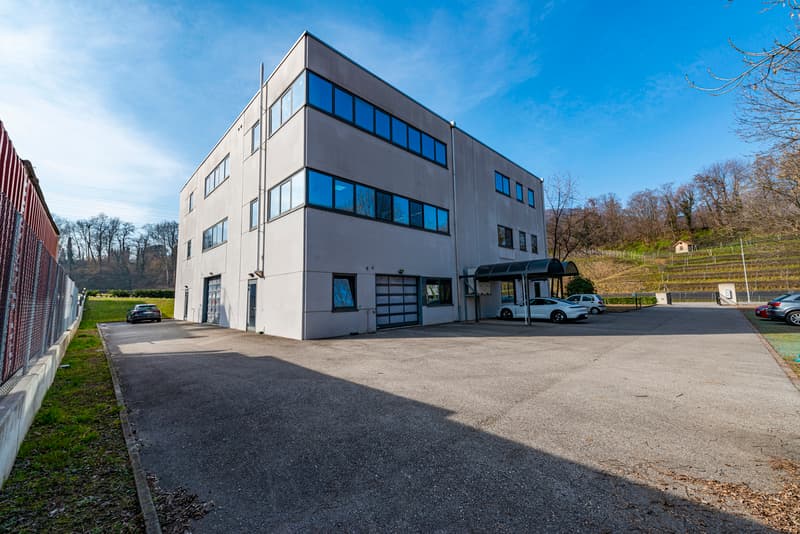 Immobile commerciale-amministrativo in posizione strategica (10)
