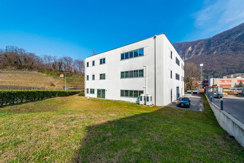Immobile commerciale-amministrativo in posizione strategica (2)